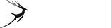 会员商店正版的网站攻击防护